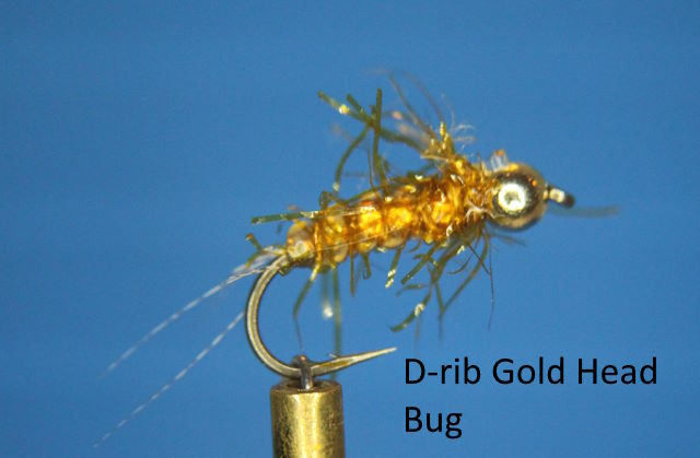 D-rib Gold head Bug